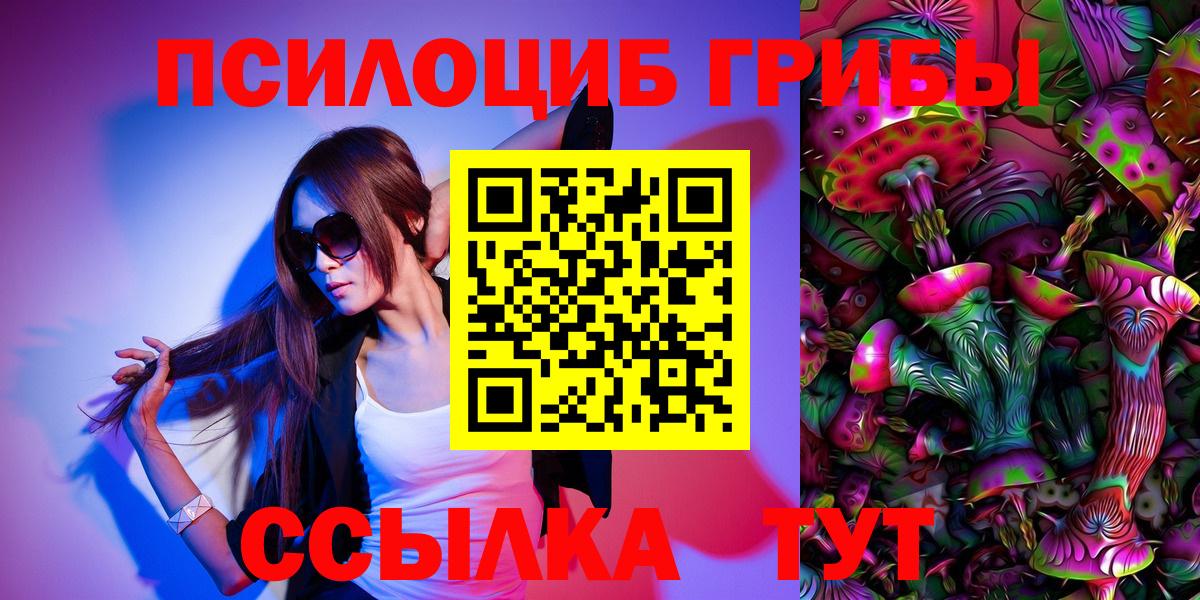 Галлюциногенные грибы Psilocybine cubensis Кузнецк