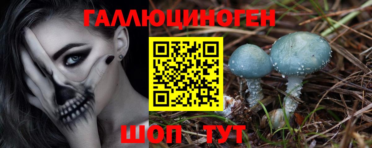 Псилоцибиновые грибы GOLDEN TEACHER  Вход с VPN  Кузнецк 